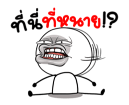 360655003
