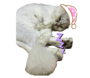 360704190