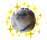 360704193