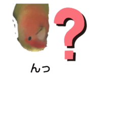 360731700