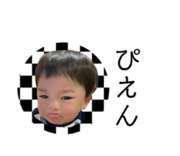 360790036