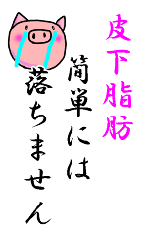 360816008