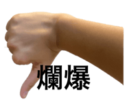 360836281