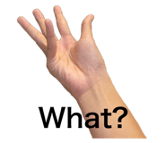 360836284
