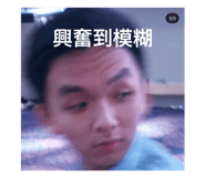 360881313