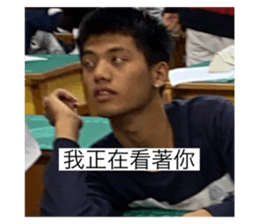 360881321