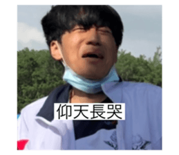 360881324