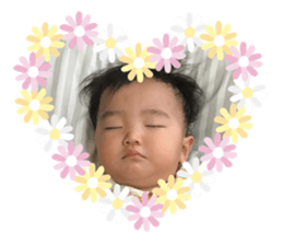 360900953
