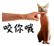 36100184