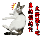 36100186