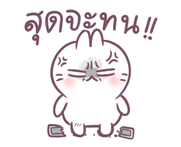 บอสทู - กระต่ายดุ๊กดิ๊ก ใช้ได้ทุกวัน รูปที่ 8
