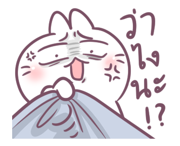 บอสทู - กระต่ายดุ๊กดิ๊ก ใช้ได้ทุกวัน รูปที่ 12