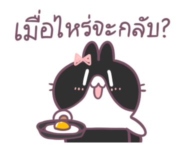 บอสทู - กระต่ายดุ๊กดิ๊ก ใช้ได้ทุกวัน รูปที่ 13
