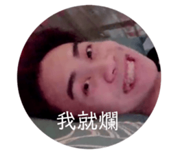361113342