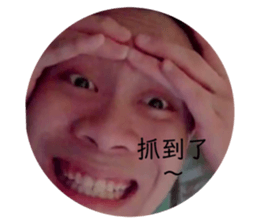 361113343