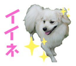 361123890