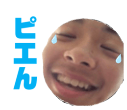 361272157