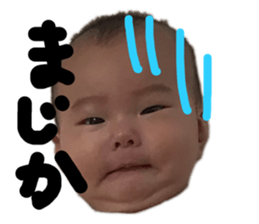 361313020