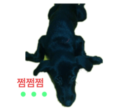 361332562