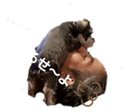 361354114