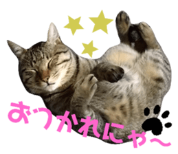 361360995