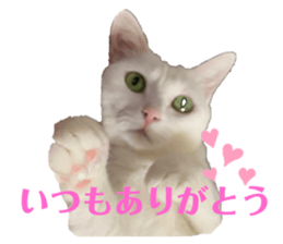 361431832