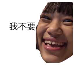 361554397