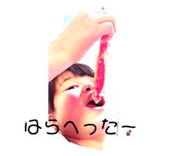 361554533