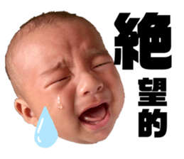 361554850