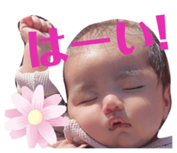361571879