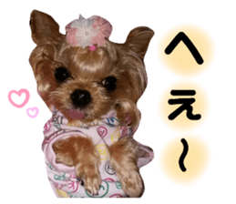 361607315