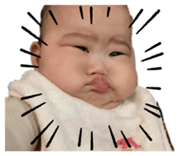 361701727
