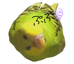 361708645