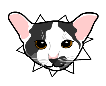 ลายที่ 43