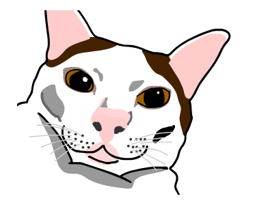 ลายที่ 47