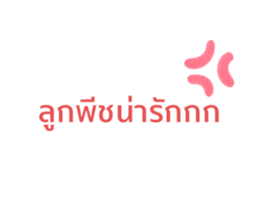 361805081