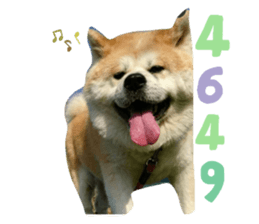 361817162
