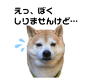 361908770