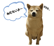 361908771