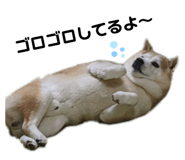 361913443
