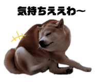 361913450