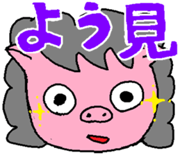 3619558