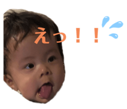 362120017