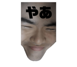 362120869
