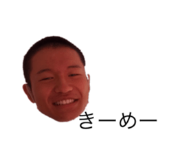 362133806