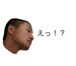 362133807