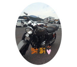 362134301