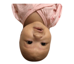 36216328