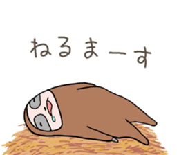 3621814