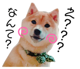362198573